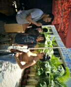 Some glimpses of fest